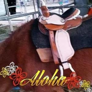 Meet your Posher, Lynn